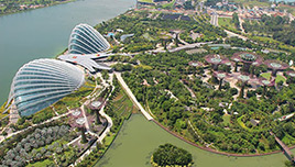 Gardens by the Bay Singapur EN